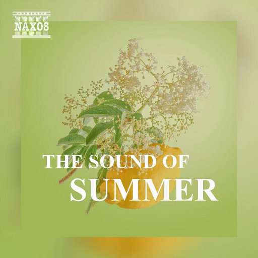 嗯灬啊灬用力别停老师动画
